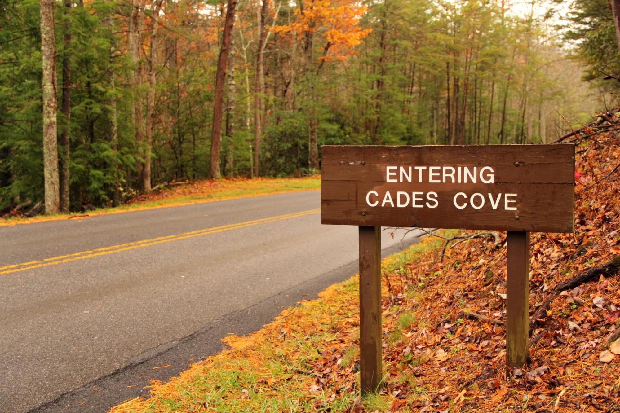 Smoky Bear Lodge With Guest House, Hot Tub, 1089 Free Tickets Each Paid Day, Dollywood And More Sevierville Exterior foto