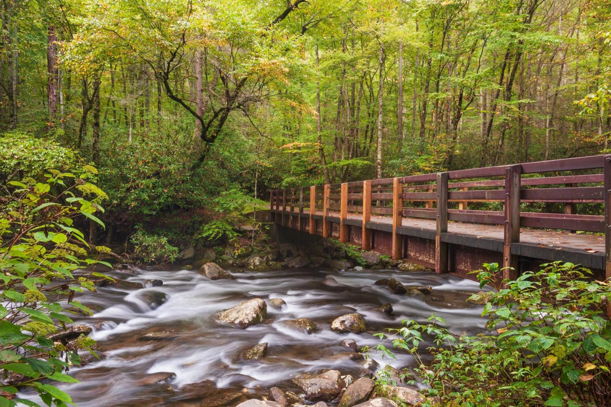 Smoky Bear Lodge With Guest House, Hot Tub, 1089 Free Tickets Each Paid Day, Dollywood And More Sevierville Exterior foto